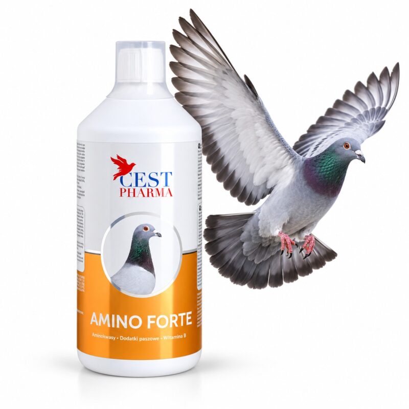 Cest Pharma Amino Forte 1 l – aminokwasy dla gołębi, butelka na białym tle