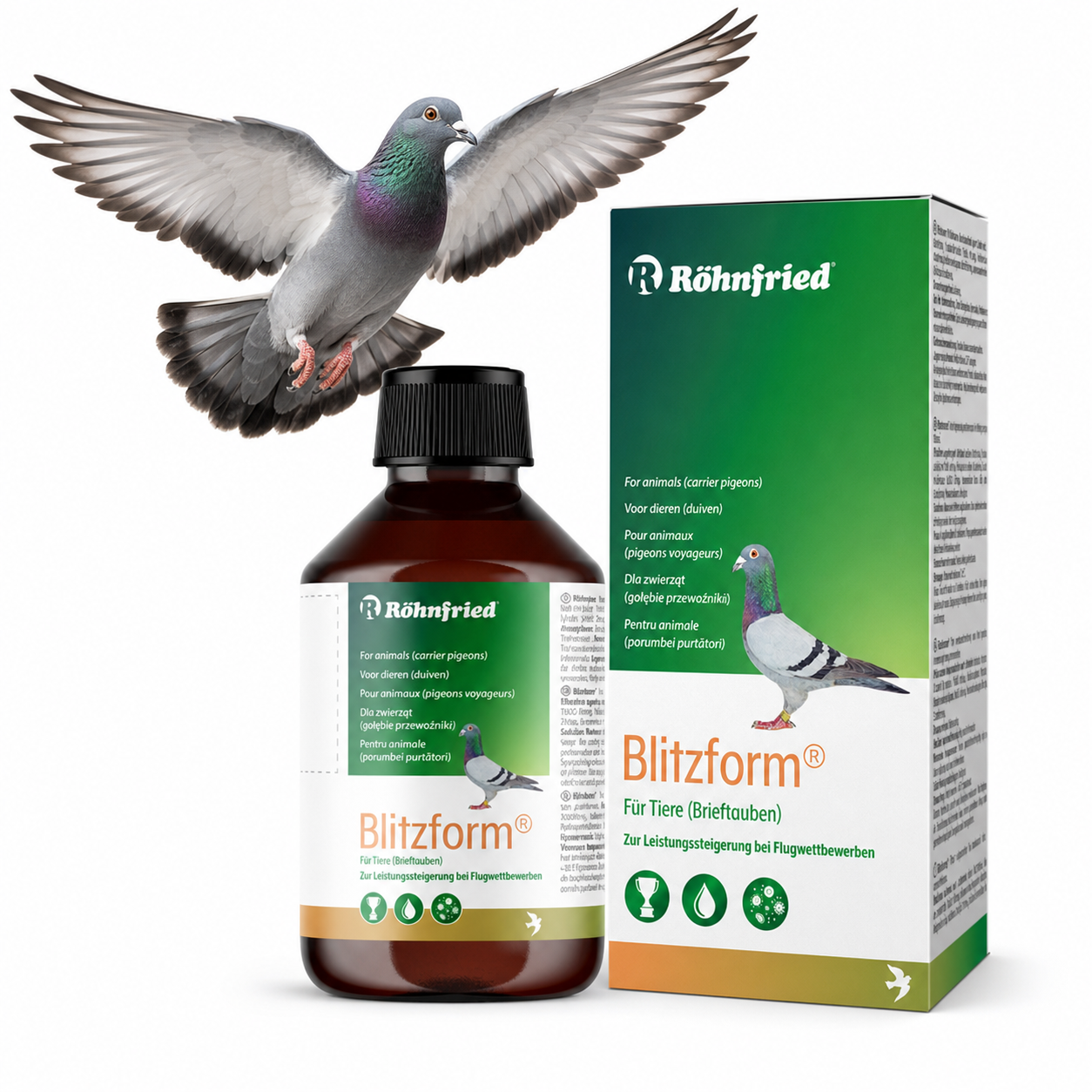 Röhnfried Blitzform