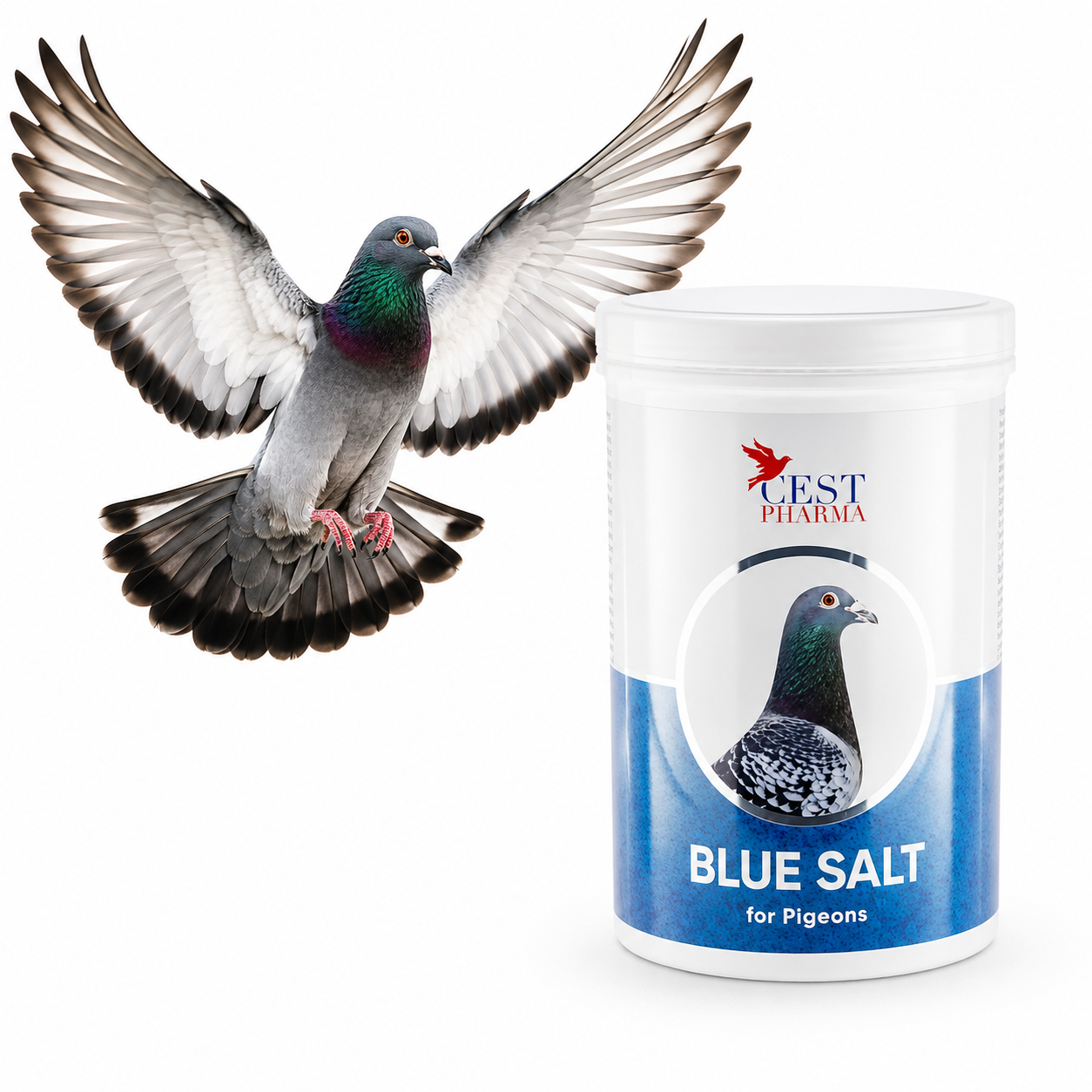 Cest Pharma Blue Salt 1000 g