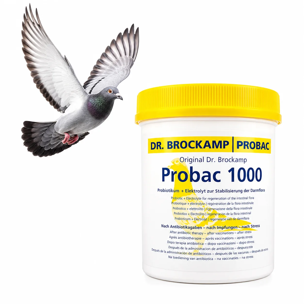 Dr. Brockamp Probac 1000 – probiotyk z elektrolitem dla gołębi na florę jelitową